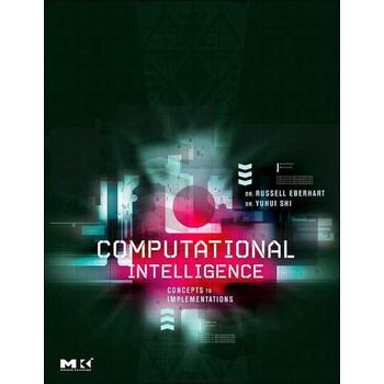 Computational Intelligence Theory and Implementation