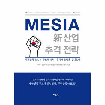 MESIA 신사업 추격 전략 대한민국 산업의 투트랙 전략 추격자 전략은 살아있다