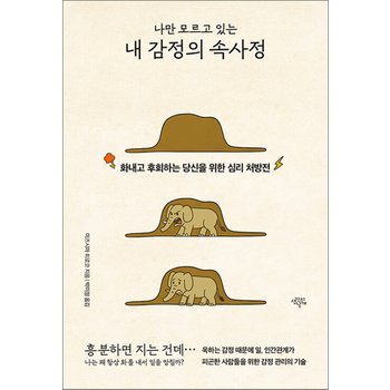 나만 모르고 있는 내 감정의 속사정 - 화내고 후회하는 당신을 위한 심리 처방전