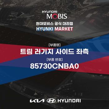 트림 러기지 사이드 좌측 (85730CNBA0) 현대모비스부품몰