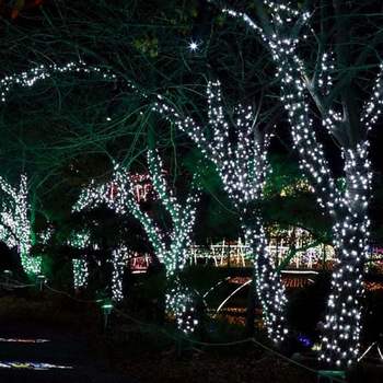 5M ULL947G7 지니전구 녹색선 은하수50구 전원잭 백색 LED