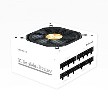 TeraMax II 750W 80PLUS Gold 풀모듈러 ATX 3.0 (W)