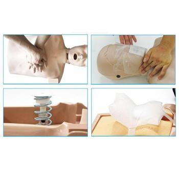 [DAEWON.A.R] 심폐소생술 마네킹 써니 단순형 (한국형 심폐소생술 모형) 학교 흉 (S47961998)