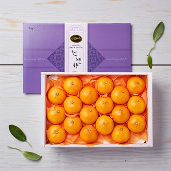 다올 제주 천혜향 프리미엄세트 5kg (21-25과)