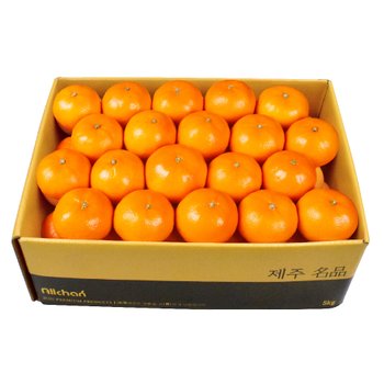 제주 천혜향 소과 5kg(31~45과 내외)