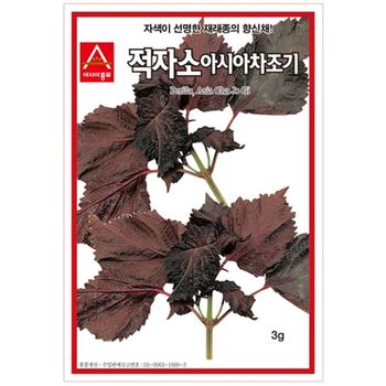 붉은 잎들깨씨앗 적자소 아시아차조기 3g 쌈씨앗 종자