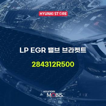 LP EGR 밸브 브라켓트 (284312R500) 현대모비스부품몰