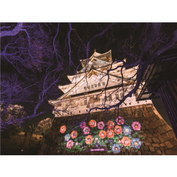 [출발확정][청주출발/아침출발][교토 둘러보기] 오사카/교토북부/이네후나야 4일 (온천호텔)