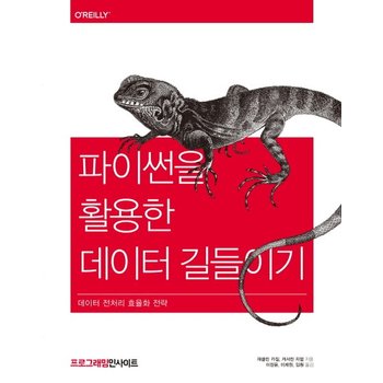 파이썬을 활용한 데이터 길들이기 데이터 전처리 효율화 전략