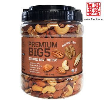 프리미엄 BIG5 믹스넛 하루견과 780g(통)[35267668]