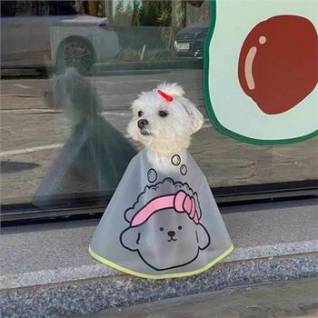 강아지 세안보 강아지 미용 케이프 반려동물 고양이 턱받이 커트보
