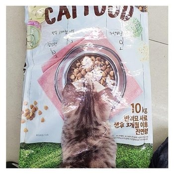 캣 푸드 반려묘 사료 (성묘용) 10kg x 1개 tx75972