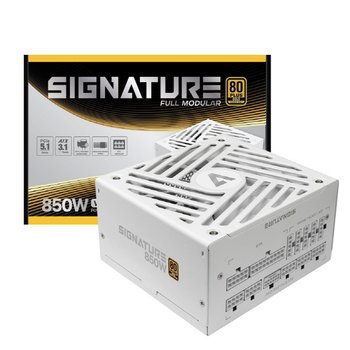 AONE 시그니처 850W 80PLUS 골드 풀모듈러 ATX3.1 파워 화이트 (ATX/850W)
