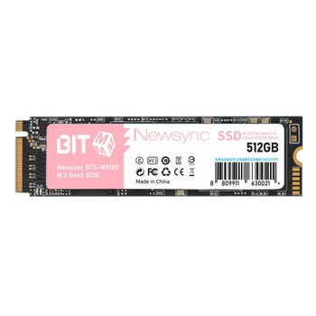 비트엠 Newsync BITS M.2 NVMe SSD (512GB)