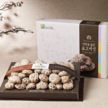 [강원도 설악산] 마수아 백화고 세트 2호 500g