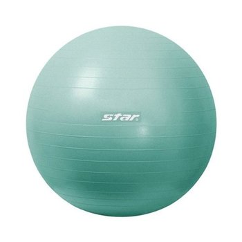 스타스포츠 짐볼 ANTI-BURST 55cm (민트) 마사지볼 짐볼운동 홈트-WFPVDD...