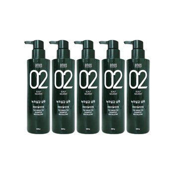 [amos] 아모스 녹차실감 샴푸 500g 5개 리바이탈 라이징 두피 모발 케어