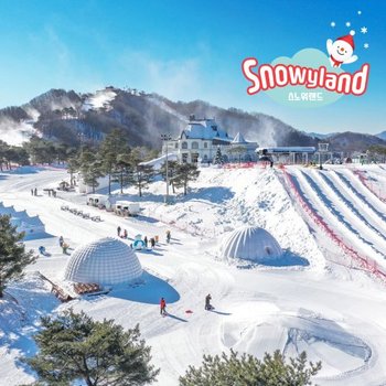 [문자발송] 홍천 비발디파크 스노위랜드 리프트권 리프트+장비렌탈 스키 보드