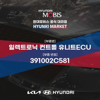 일렉트로닉 컨트롤 유니트ECU (391002C581)