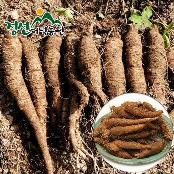 정선더덕농원 6년근 생더덕 1kg (중-35뿌리내외)