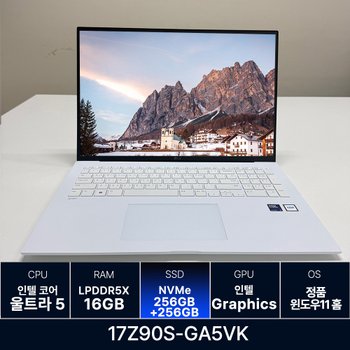 LG전자 LG그램 17Z90S-GA5VK RAM 16GB 256GB + 256GB 추가