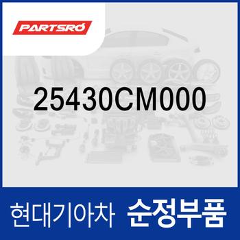 라디에이터 리저버탱크(냉각수통/부동액통) (25430CM000) 코나 (OS) 하이브리드