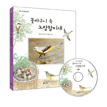 꽃바구니 속 노랑 할미새