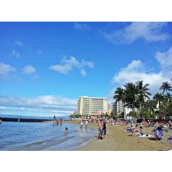 하와이 7일 힐튼와이키키비치 특급호텔 디럭스오션뷰 1일관광 체크인전알찬일정 인생샷포인트