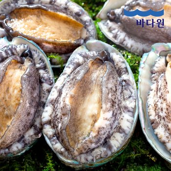 바다원 산지직송 완도 활전복 1kg (8-9미 내외) 싱싱한 전복