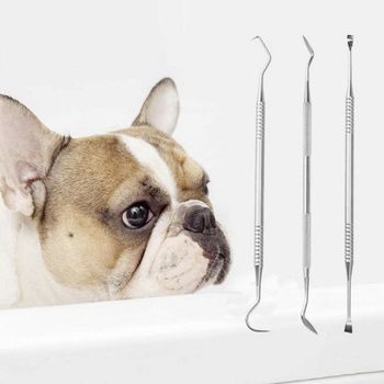 치아 위생 도구 반려동물 스케일링 기기 강아지 고양이 치석 제거기