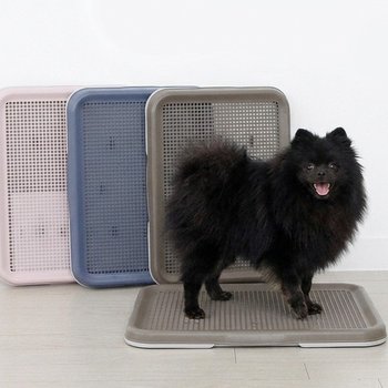 한판뚝딱 토일렛 실속형 강아지 배변판 애견 화장실