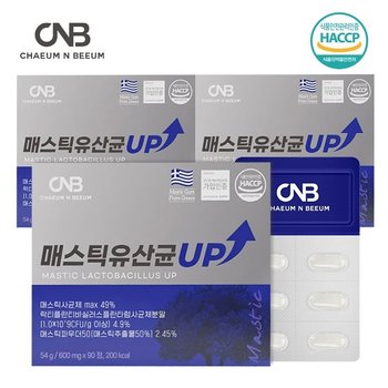 채움앤비움 매스틱 유산균 UP 3박스 135일분