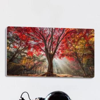 꾸밈 아트박스/꾸밈 af852-폼아크릴액자38CmX18Cm_빨갛게물든단풍나무