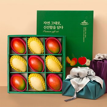 [바로배송][보자기동봉] 정성 (애플망고 5수+골드망고 4수) 과일 선물세트[SSG상품권 증정이벤트]