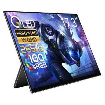 [해외] 이홈웨이 모바일 모니터 17.3인치 265Hz QLED RQHG-173NW 블랙