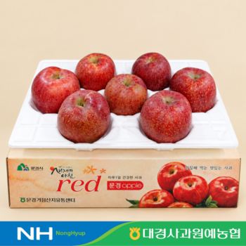 문경 감홍 사과 3kg 6-10과 대과