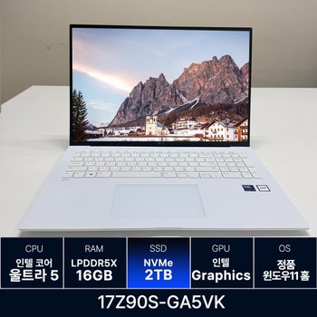 LG전자 LG그램 17Z90S-GA5VK RAM 16GB 2TB 교체