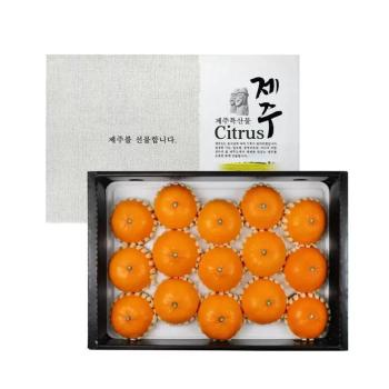 [코스트코] 코스트코 제주 천혜향선물세트 5kg(15~24입) (S29543877)