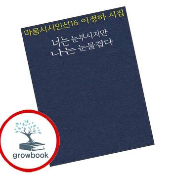 너는 눈부시지만 나는 눈물겹다 너는눈부시지만나는눈물겹다 책