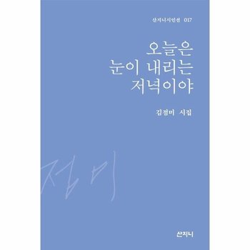 오늘은 눈이 내리는 저녁이야 - 산지니시인선 17 (양장)