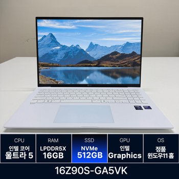 LG전자 LG그램 16Z90S-GA5VK RAM 16GB 512GB 교체