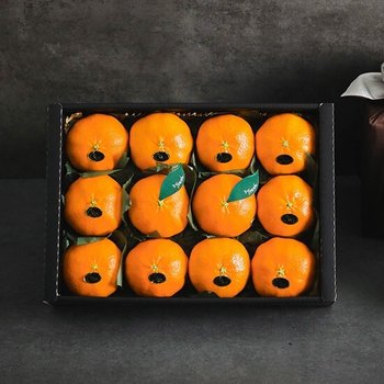 황금원 [신세계TV쇼핑]제주 고당도 천혜향 5kg(13-24과) 과일선물세트