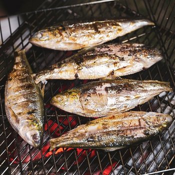 [산해직송] 자연산 전어 구이용 2kg 가을 급냉 구이