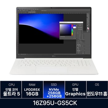 LG전자 그램 프로 16Z95U-GS5CK RAM 16GB 256GB + 256GB 추가