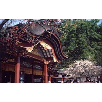 규슈 4일 MD추천 프리미엄 온천여행 하나투어단독특급호텔 국립공원별자리투어 월드특급힐튼숙박 아소대관봉절경 유후인명소여행