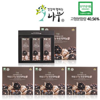 대성의성마늘 [건강이열리는나무/쇼핑백포함] 유기농 숙성 흑마늘 스틱(10 gX30포/4세트)[F20170403001]