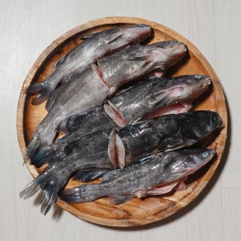 손질 빠가사리 900g 냉동 내장제거 민물 매운탕 퉁가리 퉁사리 동자개..[36099098]
