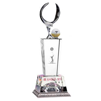 TC 크롬이글 SW292 크리스탈 골프트로피 기념패 상패 이글패 이글트로피 독수리상패 트로피