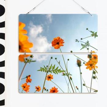 꾸밈 아트박스/꾸밈 nn763-멀티아크릴액자_황화코스모스(2단)