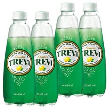 갓 롯데 트레비 레몬 300ml x 40PET (20펫x 탄산음료 (47232412)